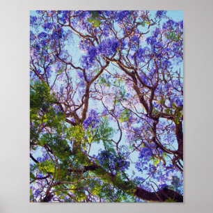 Purple Jacaranda Tree Oil Painting,   Poster