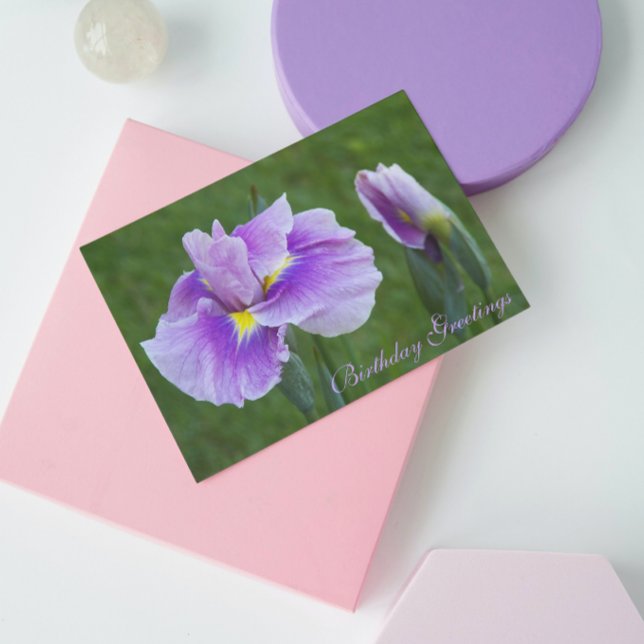 Purple Japanese Iris Floral Birthday Card (In Situ)