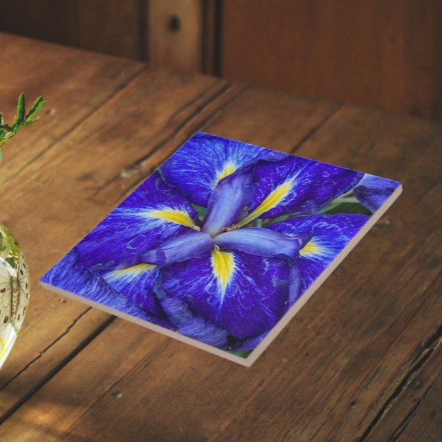 Purple Japanese Iris Floral Tile (In Situ)
