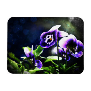 Purple Johnny Jump Ups and Stars Magnet