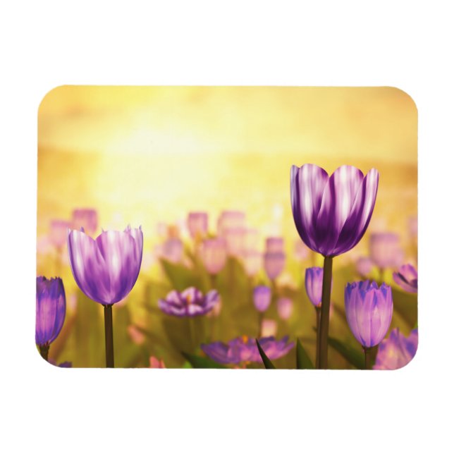 Purple Jubilee Flexible Magnet (Horizontal)