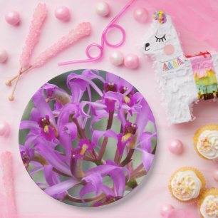 Purple Laelia Orchids Floral Paper Plate