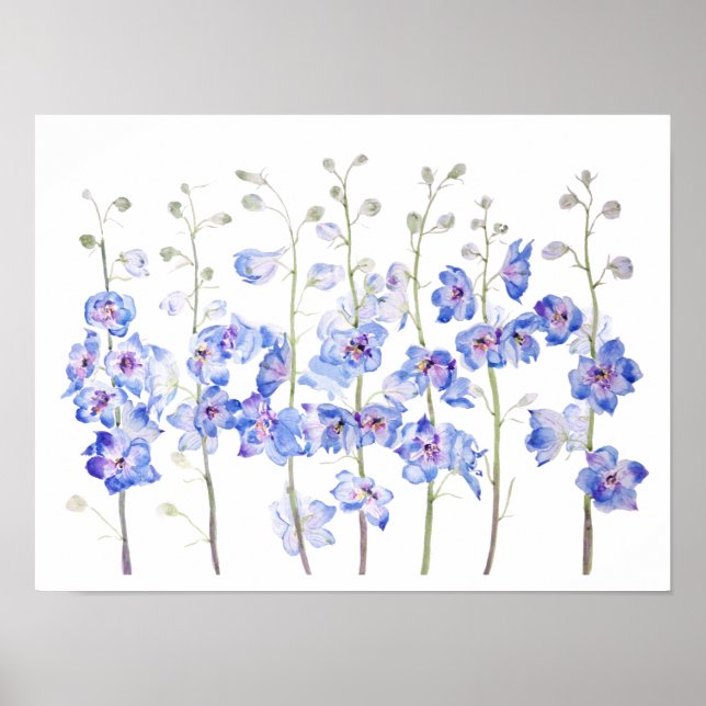 purple larkspur delphinium field watercolor  poster (Front)