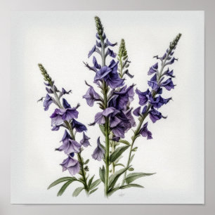 Purple Larkspur Flower Art Print Poster