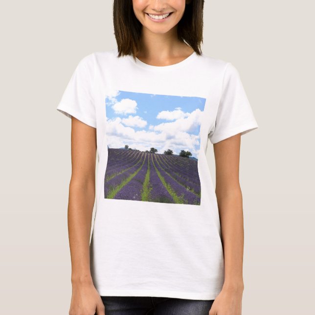 Purple lavender fields near Sault T-Shirt (Front)
