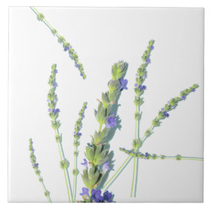 Purple Lavender Flower Flowers Tile