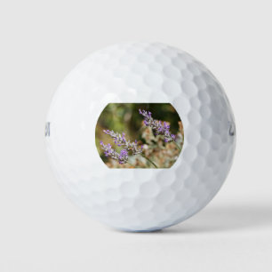 Purple lavender flower in a garden during summer p golf balls