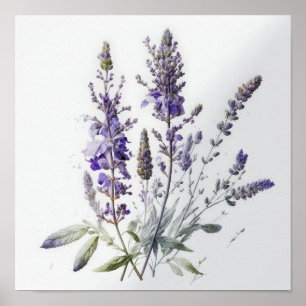 Purple Lavender Flowers Art Print Poster