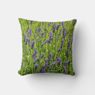 Purple lavender flowers meadow cushion