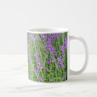 Purple Lavender Flowers Photograph Coffee Mug