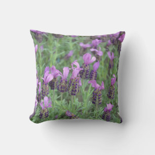 Purple lavender flowers throw pillow
