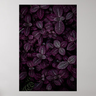 PURPLE LEAFED PLANT FIELD POSTER