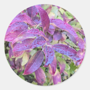 Purple leaves on stickers