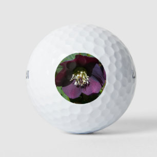 Purple Lenten Rose Easter Flower Golf Balls