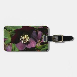 Purple Lenten Rose Easter Flower Luggage Tag