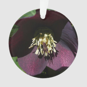 Purple Lenten Rose Easter Flower Ornament
