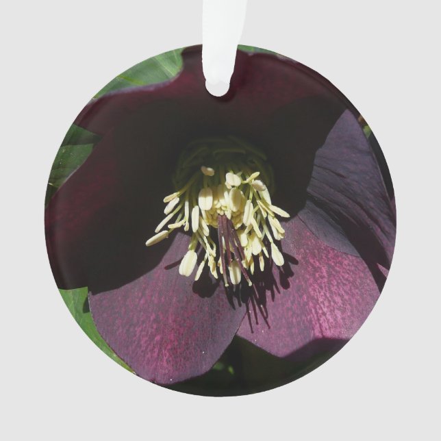 Purple Lenten Rose Easter Flower Ornament (Front)
