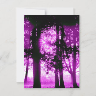 Purple Light with Silhouette Trees  Postcard
