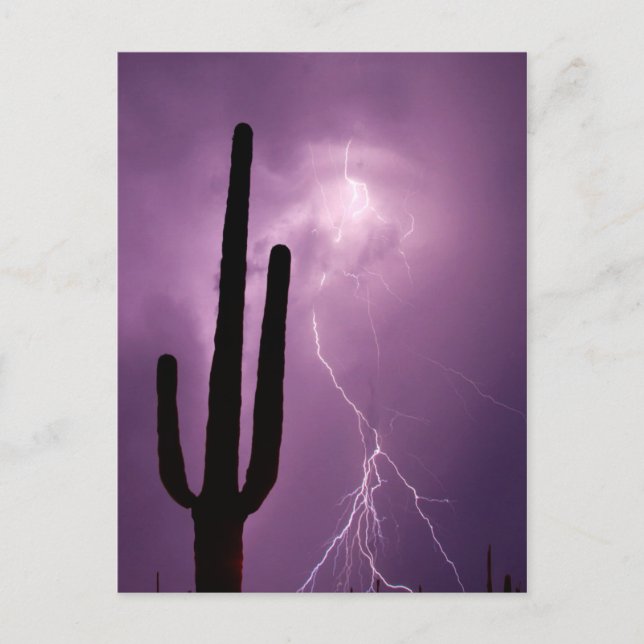 Purple lightning and cactus, AZ Postcard (Front)
