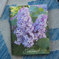 Purple Lilac Blooms Floral