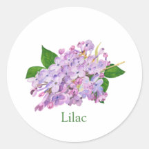Purple lilac botanical watercolor