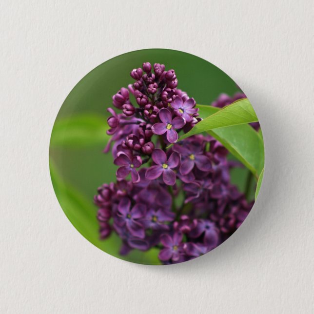 Purple Lilac Button (Front)