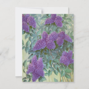 Purple Lilac by Cargill, 1937 Postcard