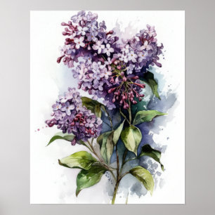 Purple Lilac Flowers Art Print Poster