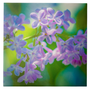 Purple Lilac Flowers Tile