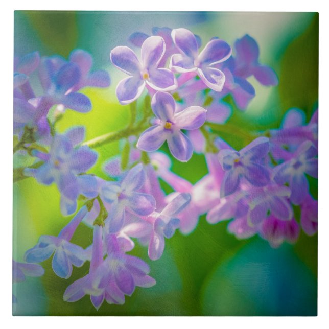Purple Lilac Flowers Tile (Front)