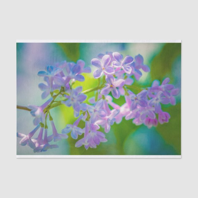 Purple Lilac Flowers Tissue Paper (Front)