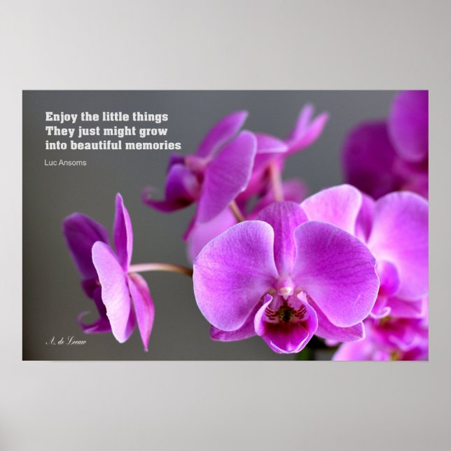 Purple lilac mauve orchid, inspirational quote poster (Front)