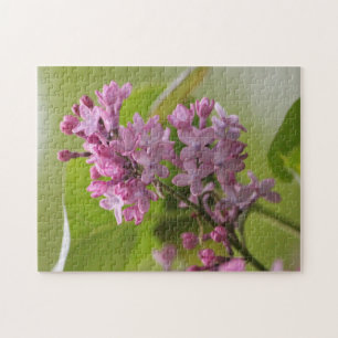 Purple Lilac Puzzle