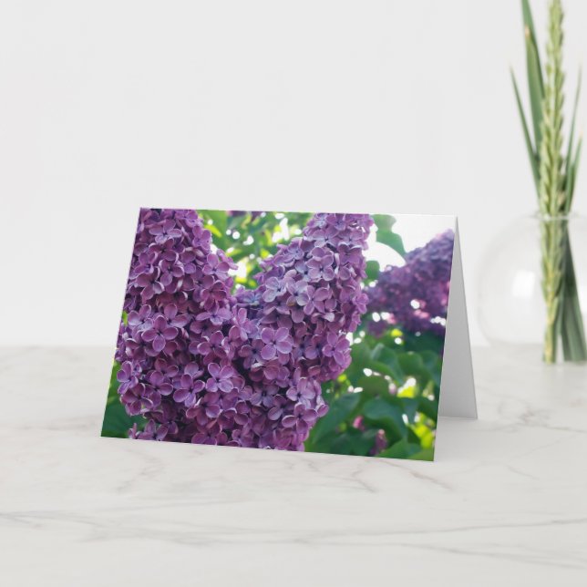 Purple Lilacs Greeting Card (Front)