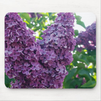 Purple Lilacs Mouse Pad