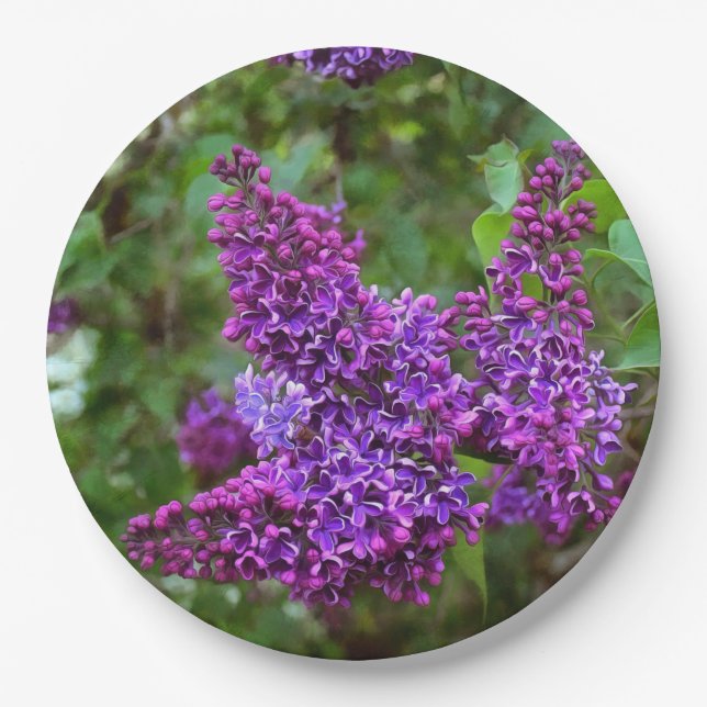 Purple Lilacs on a Spring Day Paper Plate (Front)