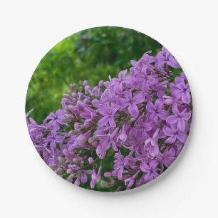 Purple lilacs romantic elegant purple floral photo paper plate