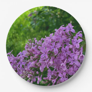 Purple lilacs romantic elegant purple floral photo paper plate
