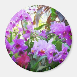 Purple Lilies Magnet