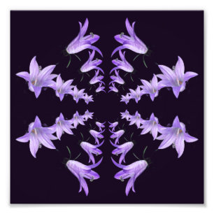 Purple Lily Flowers Mirror Abstract Art 8x8 Photo Print