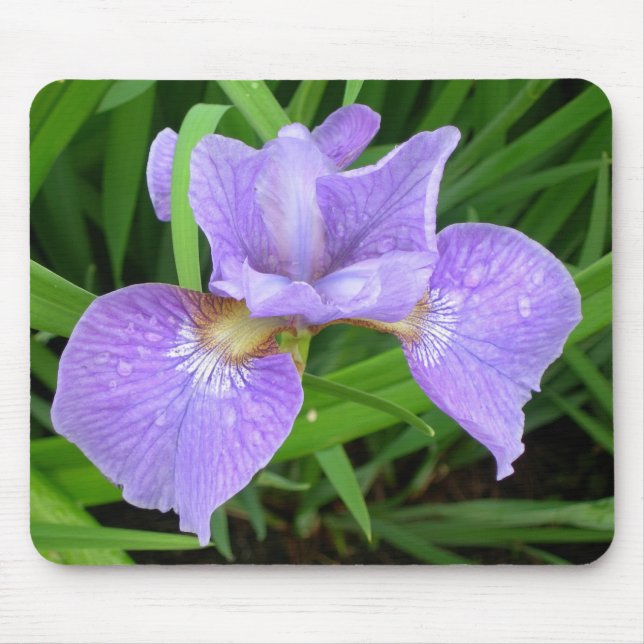 Purple lily/iris mousepad (Front)