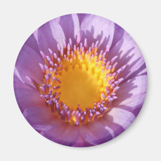 Purple Lily Magnet