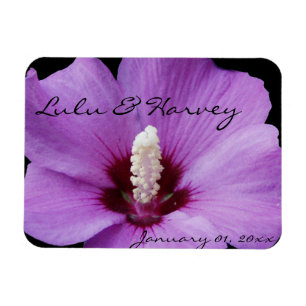 Purple Lily Up Close Magnet