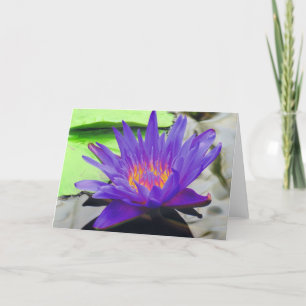Purple Lotus Card