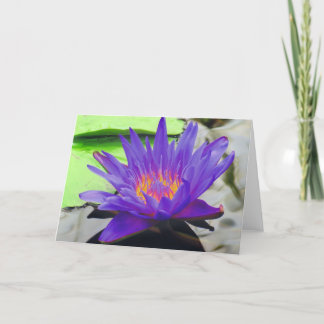 Purple Lotus Card