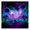Purple Lotus flower and its meaning
