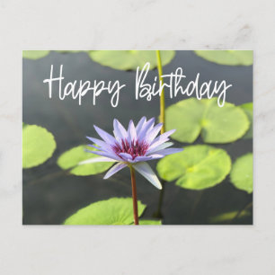 Purple Lotus in the pond Happy Birthday Postcard