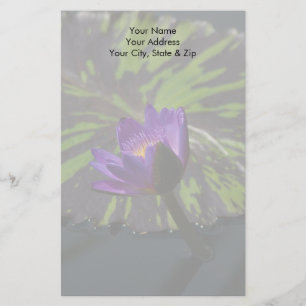 Purple Lotus Waterlily and Striped Lili pad` Stationery