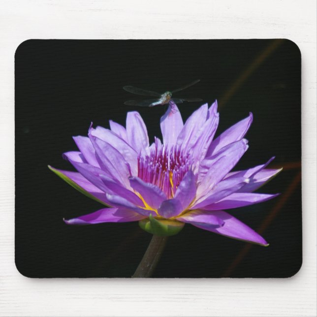 Purple Lotus Waterlily Dragonfly Playing Cards Mouse Mat (Front)