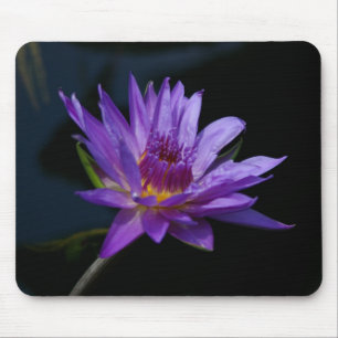 Purple Lotus Waterlily Mousepad